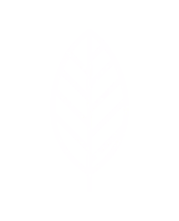 Plantify leaf